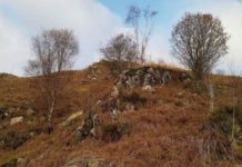 Где олень? Новая фотозагадка поставила в тупик пользователей Сети лось, загадка