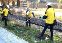В Шымкенте посадили более тысячи саженцев Мое именное дерево