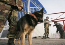 Карантин в Казахстане: что нужно знать о пересечении границы