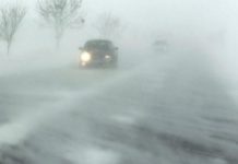 КазАвтоЖол рекомендует воздержаться от поездок в Алматинскую область