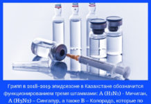 Лечите простуду правильно! Лечение простуды