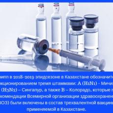 Лечите простуду правильно! Лечение простуды