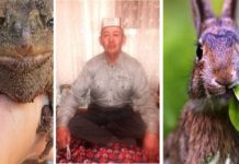 Целитель из Туркестанской области лечит людей кровью зайца и кишечными газами жабы Целитель из Туркестанской области лечит людей кровью зайца и кишечными газами жабы