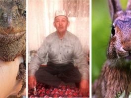 Целитель из Туркестанской области лечит людей кровью зайца и кишечными газами жабы