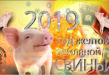 «Осторожно, Кабан»: нумеролог рассказала, что ждет казахстанцев в 2019 году год Свиньи
