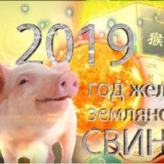 «Осторожно, Кабан»: нумеролог рассказала, что ждет казахстанцев в 2019 году год Свиньи