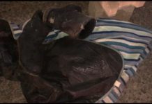 По улице Ташенова ночью произошло странное ДТП По улице Ташенова ночью произошло странное ДТП