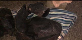 По улице Ташенова ночью произошло странное ДТП По улице Ташенова ночью произошло странное ДТП