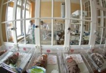 В День Первого Президента в Шымкенте родились 28 Нурсултанов