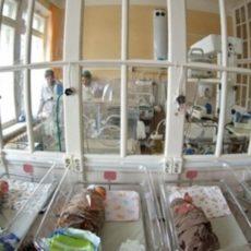 В День Первого Президента в Шымкенте родились 28 Нурсултанов