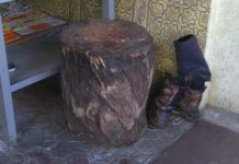 В Шымкенте убойные цеха в центре города закроют решением суда