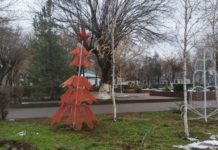 «Зеленый снег» Шымкента, или Как встречают Новый год без зимы