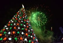 В ожидании праздника: Шымкент сверкает яркими огнями /видео/