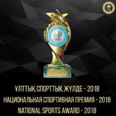 Шымкент получил премию «Лучший спортивный регион» (ВИДЕО)