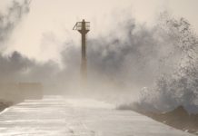 Работу мечты предлагают в Сан-Франциско маяк