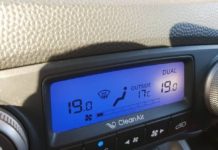 Грибники Шымкента собирают с пеньков урожай вешенок