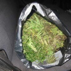 Дело о двух килограммах марихуаны передали в суд