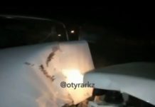 Лобовое столкновение с участием полицейского произошло в Арыси Лобовое столкновение с участием полицейского произошло в Арыси