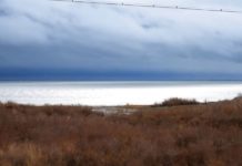 Уровень воды в шардаринском водохранилище достиг 98 процентов Шардара