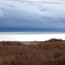 Уровень воды в шардаринском водохранилище достиг 98 процентов Шардара