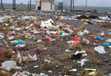 В Шымкенте работу по уборке мусора за 270 рабочих выполняли всего восемь человек Мусорная свалка в Шардаре