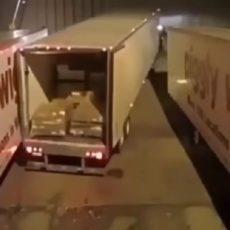 Ужасно паркующийся дальнобойщик развеселил Сеть фура