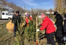 2 марта в Шымкенте пройдет общегородской субботник
