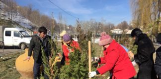 2 марта в Шымкенте пройдет общегородской субботник