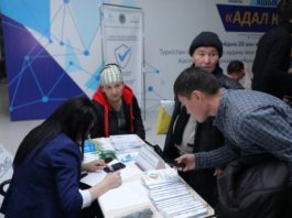 Как и чем помогают бизнесменам Туркестанской области