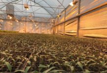 В Туркестанской области предпринимателю вернули незаконно изъятые деньги В Туркестанской области предпринимателю вернули незаконно изъятые деньги