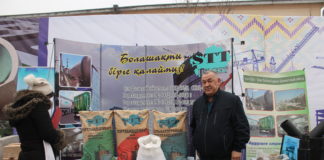 Увеличить местное содержание в строительстве планируют в Туркестанской области