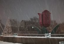 В Шымкенте во время снегопада вдруг заработал фонтан «Тюльпан»