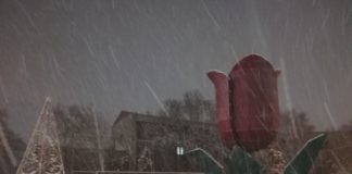 В Шымкенте во время снегопада вдруг заработал фонтан «Тюльпан»