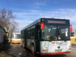 В Шыменте открылись новые социальные автобусные маршруты