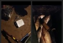 Полмиллиона тенге заплатят браконьеры за нанесенный природе ущерб