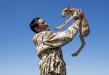 Орденом «Барыс» Президент посмертно наградил погибшего инспектора