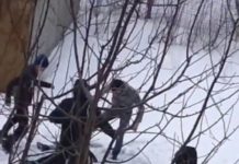 Школьникам Шымкента объяснили, как решать проблемы без ссор и драк драка, подростки