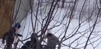 Школьникам Шымкента объяснили, как решать проблемы без ссор и драк драка, подростки