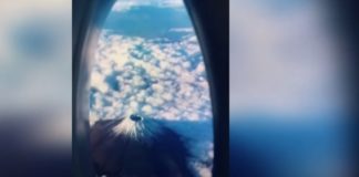 Пользователи соцсети стали путешественниками с помощью бутылок и унитазов самолет, иллюминатор