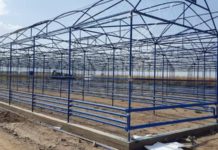 Современный тепличный комплекс запустят в Кентау