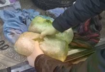 Появились подробности задержания в Шымкенте девушки с партией гашиша