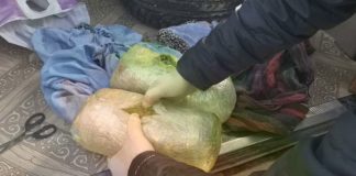 Появились подробности задержания в Шымкенте девушки с партией гашиша