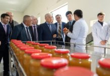 Цех по производству продукции для желающих похудеть и диабетиков открылся в Шымкенте