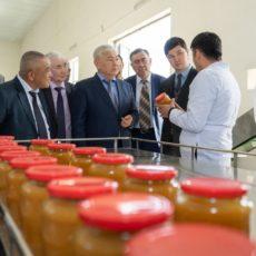 Цех по производству продукции для желающих похудеть и диабетиков открылся в Шымкенте