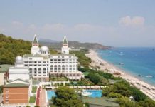 В ближайшее время у побережья Турции могут появиться ядовитые медузы Побережье Антальи