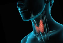 Как проверить свою щитовидку с помощью градусника щитовидная железа