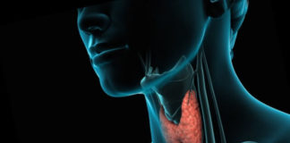 Как проверить свою щитовидку с помощью градусника щитовидная железа