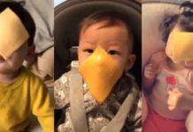 Новый флешмоб #cheesechallenge охватил Сеть: детям бросают сыр на лица (видео) детям бросают сыр на лица