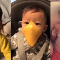 Новый флешмоб #cheesechallenge охватил Сеть: детям бросают сыр на лица (видео) детям бросают сыр на лица