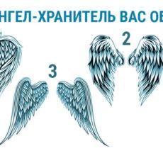 Выберите крылья и узнайте имя своего ангела-хранителя